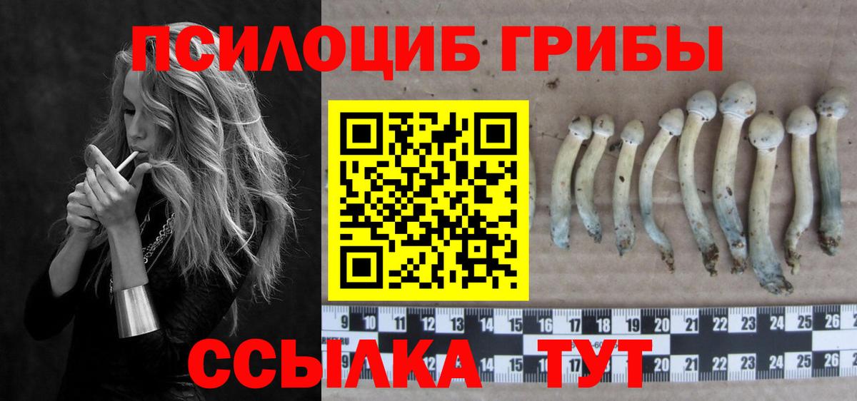 Галлюциногенные грибы мухоморы Котовск