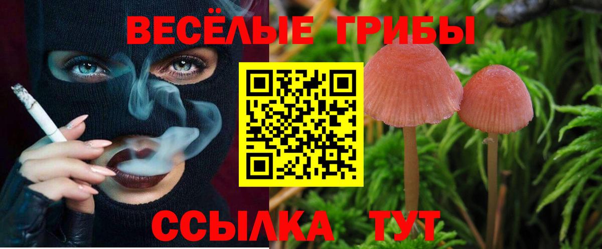 Котовск  Галлюциногенные грибы ЛСД  Вход с VPN 